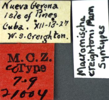 Media type: image;   Entomology 21004 Aspect: labels